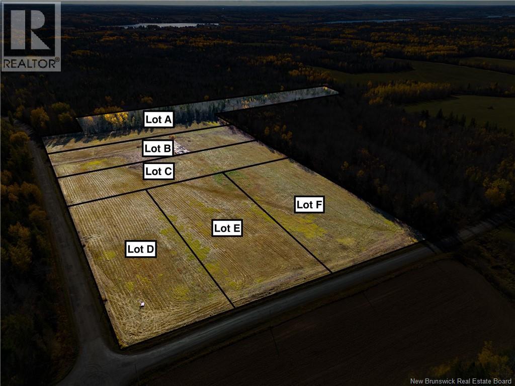 Photo of Listing #NB130930