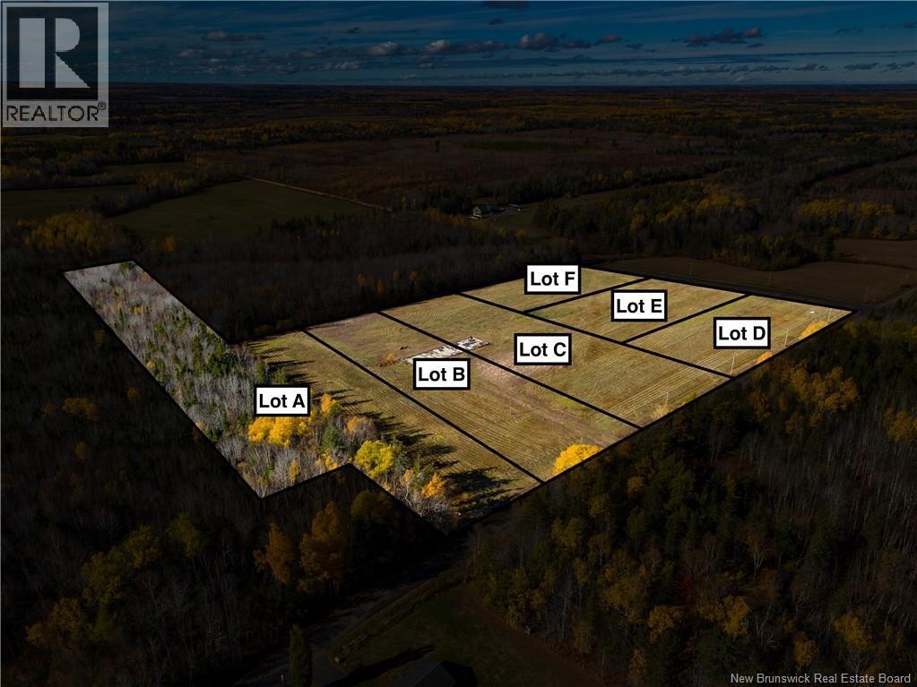 Photo of Listing #NB130927