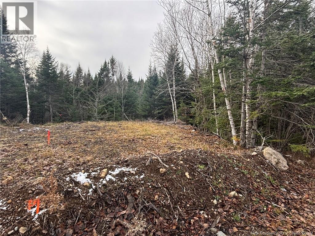 Photo of Listing #NB130156