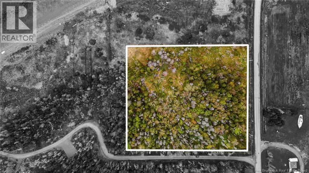 Photo of Listing #NB131046