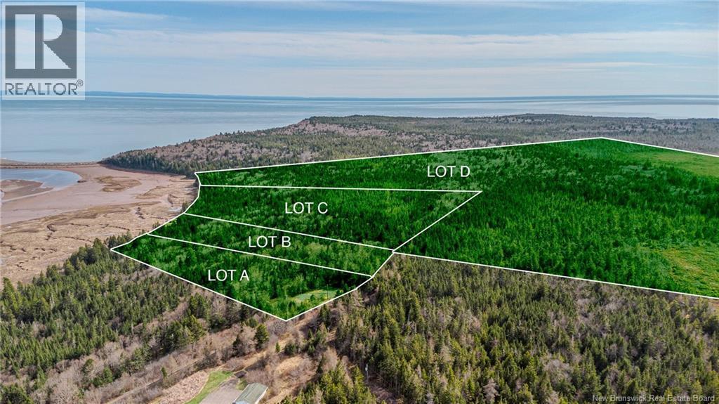 Photo of Listing #NB131138