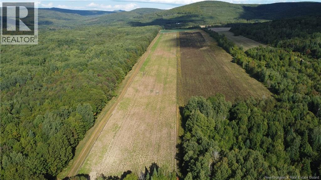 Photo of Listing #NB131174