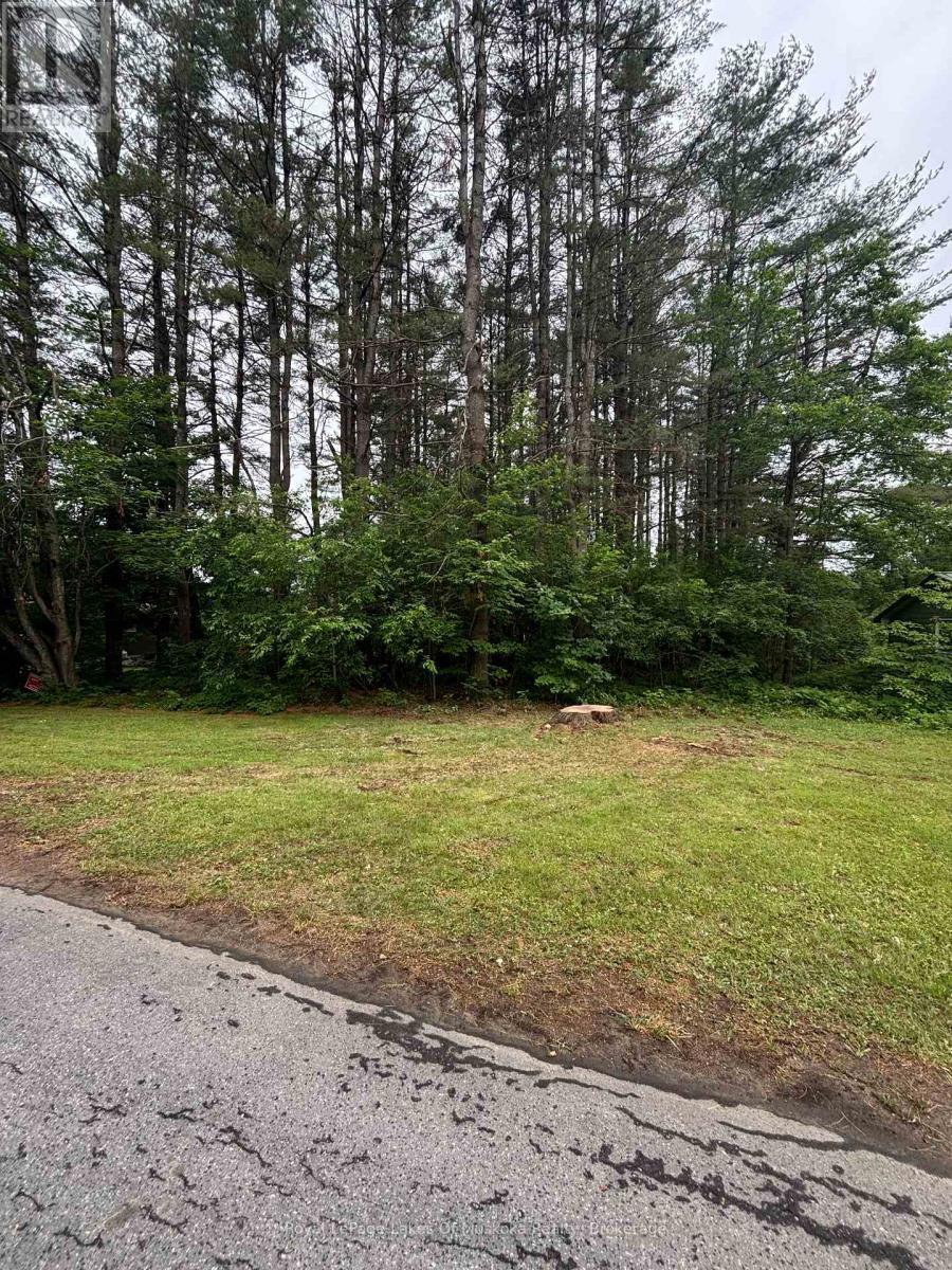 124 Frederick Street, Bracebridge (draper)