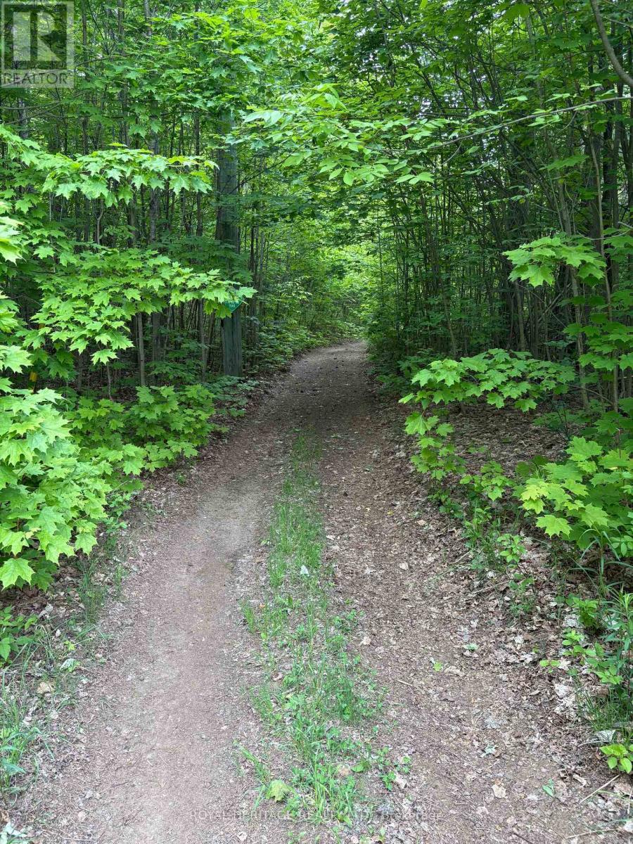 1043 Lawrence Pit Road, Muskoka Lakes (watt)