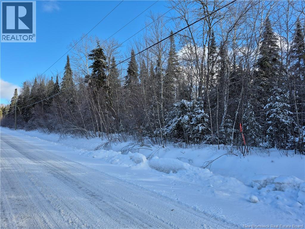 Photo of Listing #NB131263