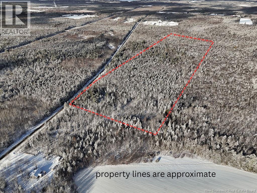 Photo of Listing #NB131175