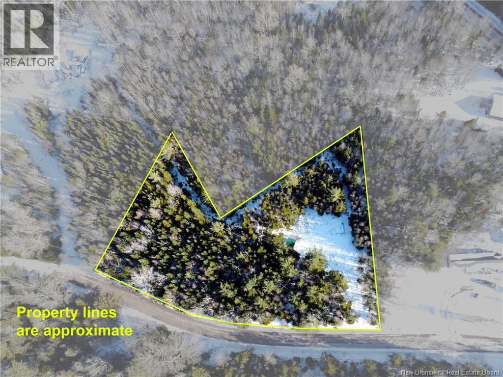 Photo of Listing #NB131134