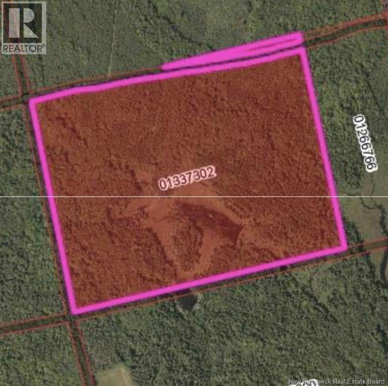 Photo of Listing #NB131257