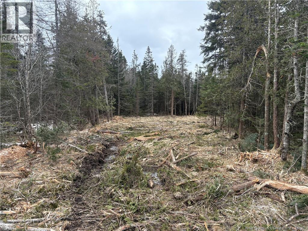 Photo of Listing #NB131410