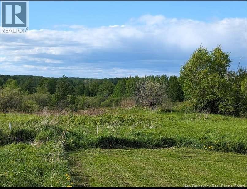 Photo of Listing #NB131483