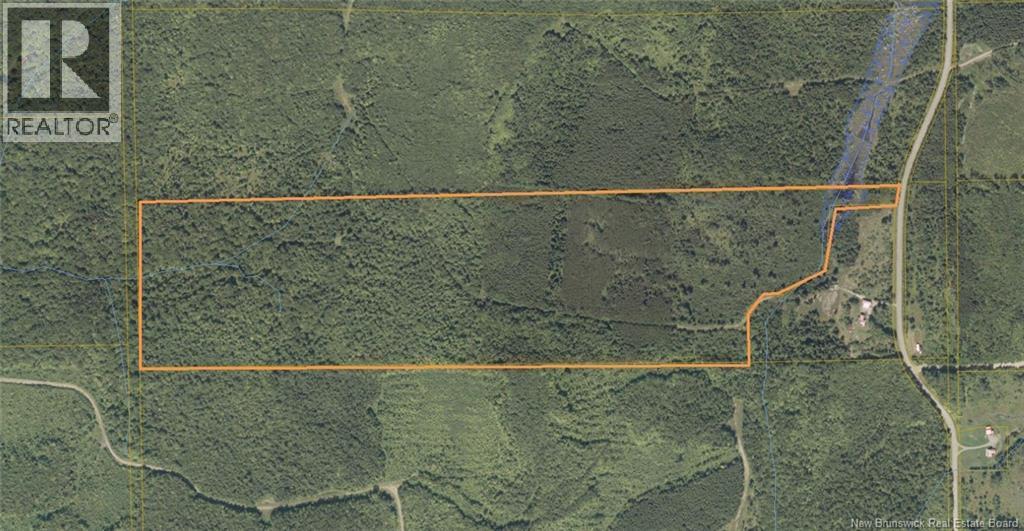 Photo of Listing #NB131478