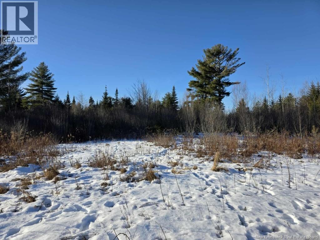 Photo of Listing #NB131431