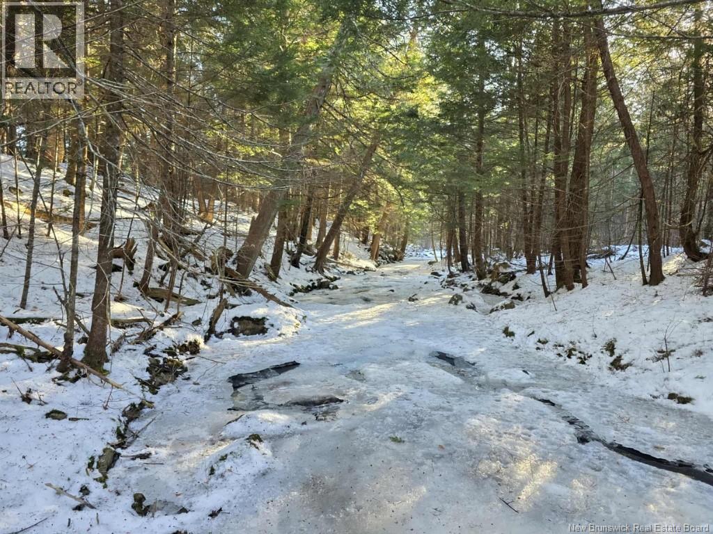 Photo of Listing #NB131432