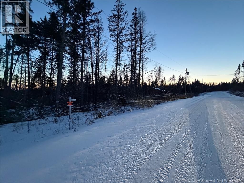 Photo of Listing #NB131515