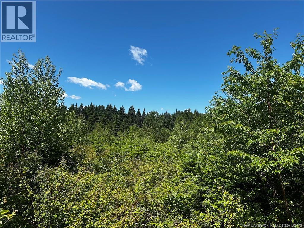 Photo of Listing #NB131735