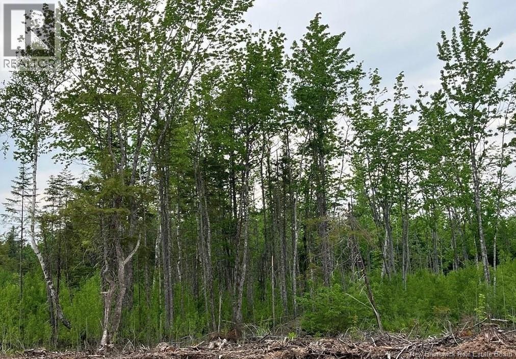 Photo of Listing #NB131760