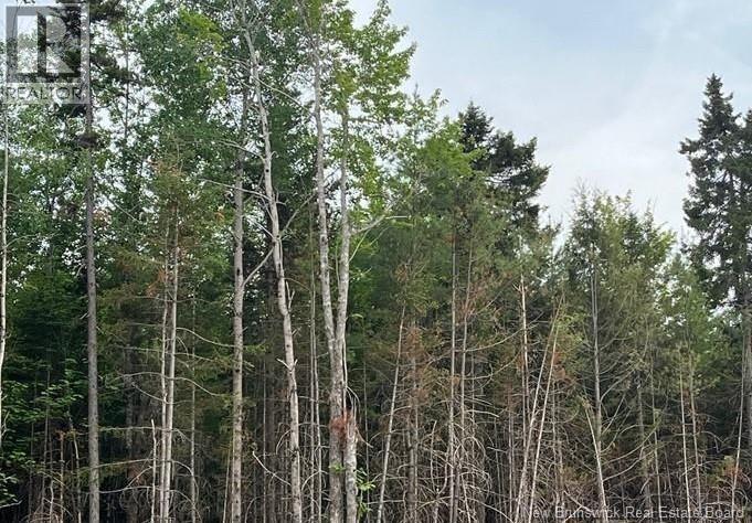 Photo of Listing #NB131759