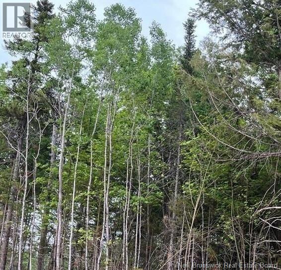 Photo of Listing #NB131755