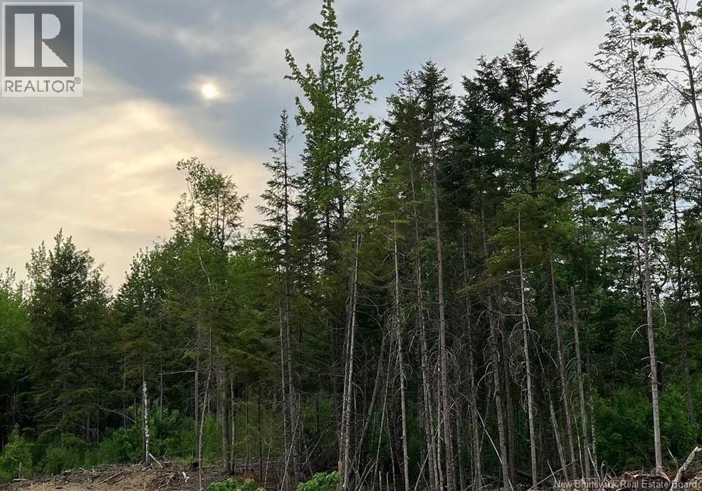 Photo of Listing #NB131763