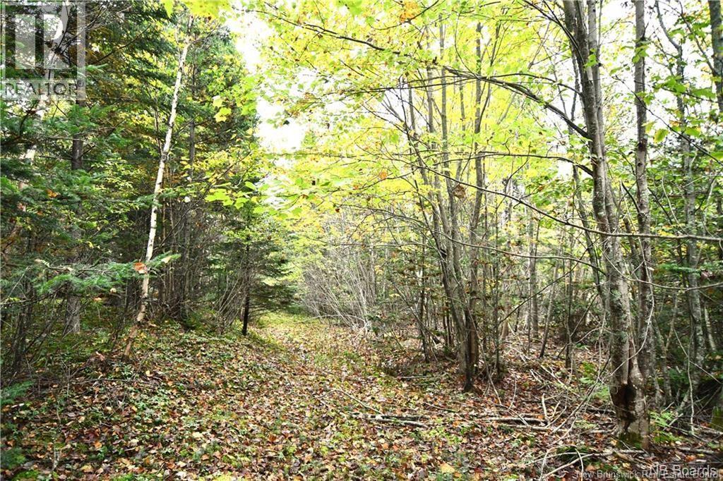 Photo of Listing #NB131793