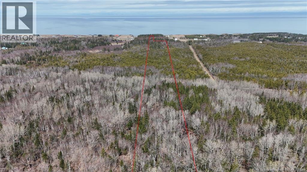 Photo of Listing #NB131749