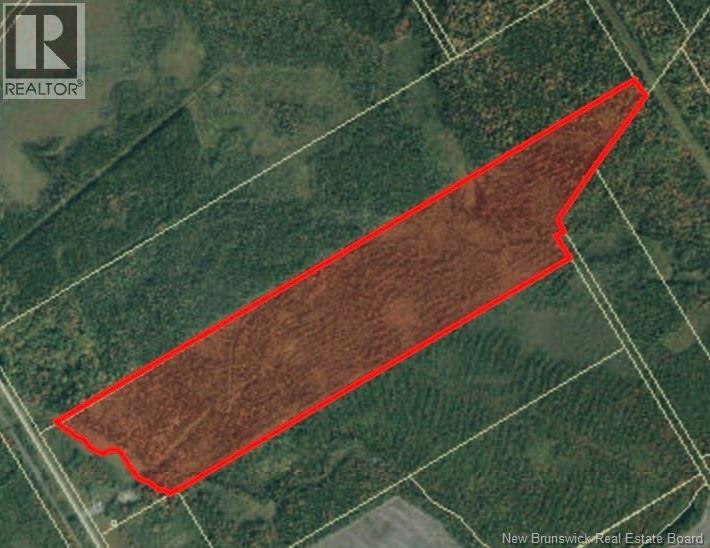 Photo of Listing #NB131853