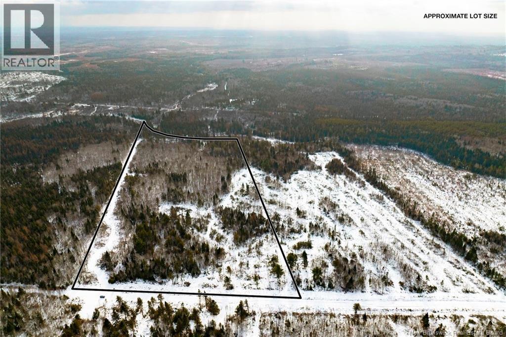 Photo of Listing #NB131881