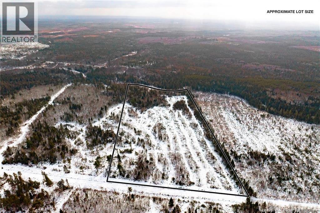 Photo of Listing #NB131878