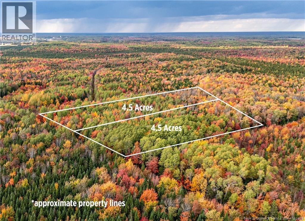 Photo of Listing #NB131932