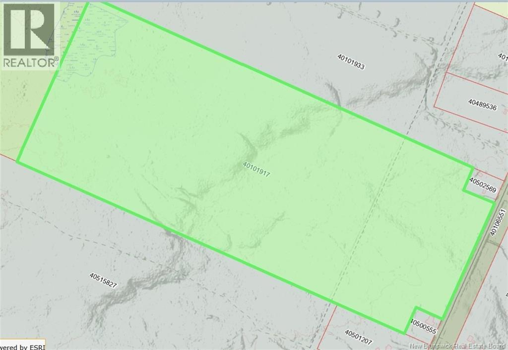 Photo of Listing #NB131957