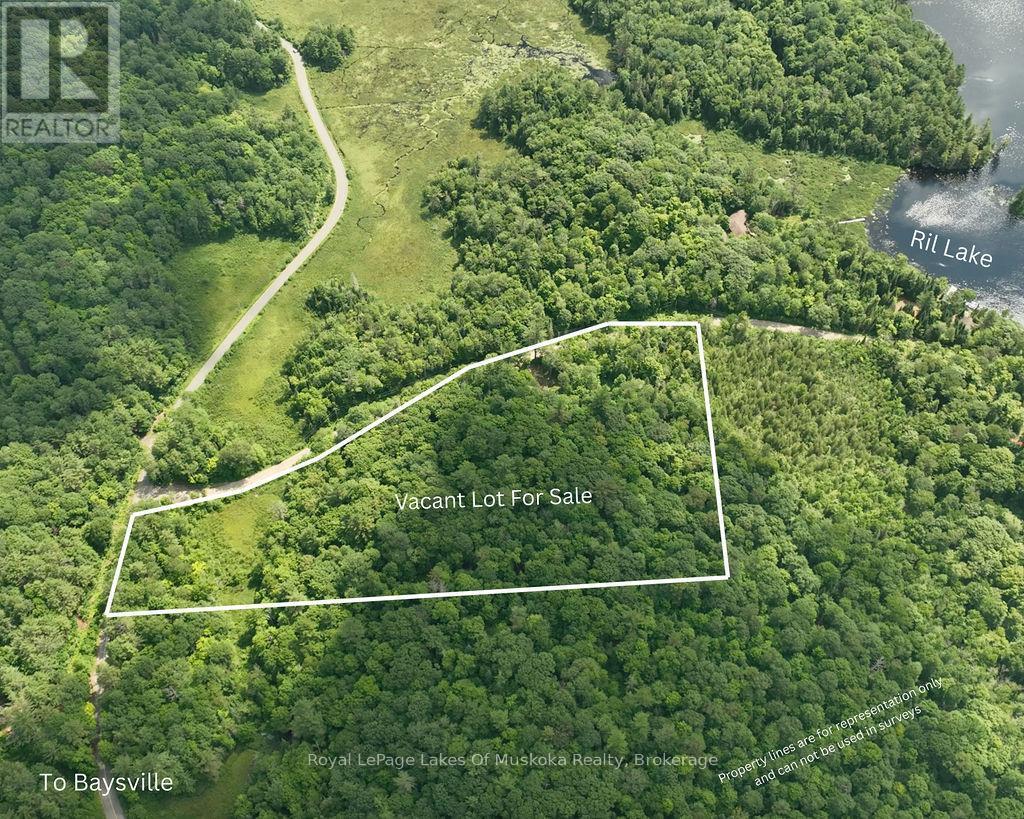 0000 Ril Lake Road S, Lake Of Bays (ridout)