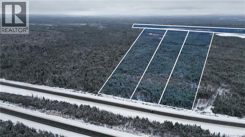 Vacant Lot Timberland, Dumfries