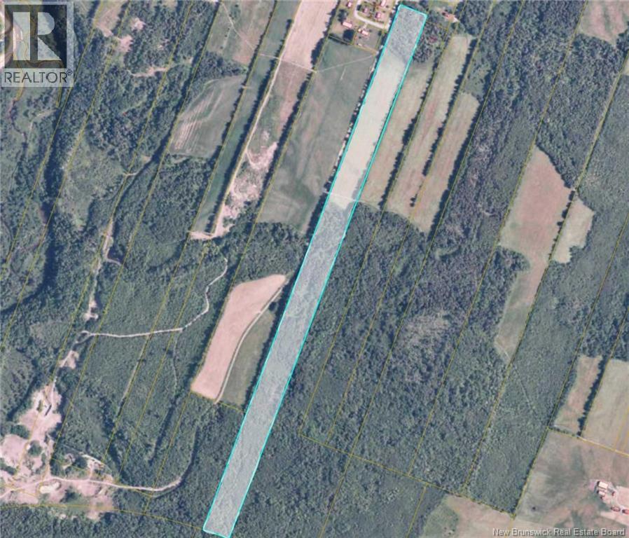 Photo of Listing #NB132404