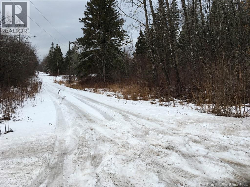 Photo of Listing #NB132190