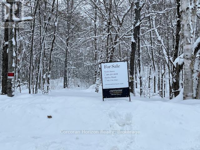 102 Black Road, Seguin