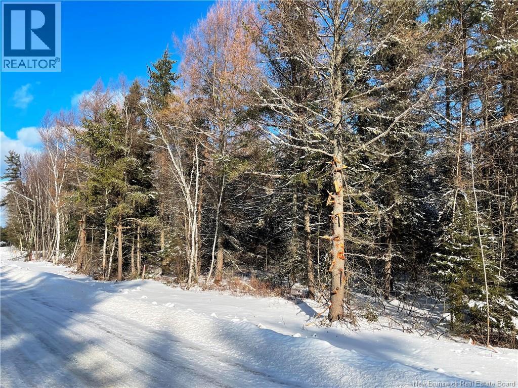 Photo of Listing #NB132583