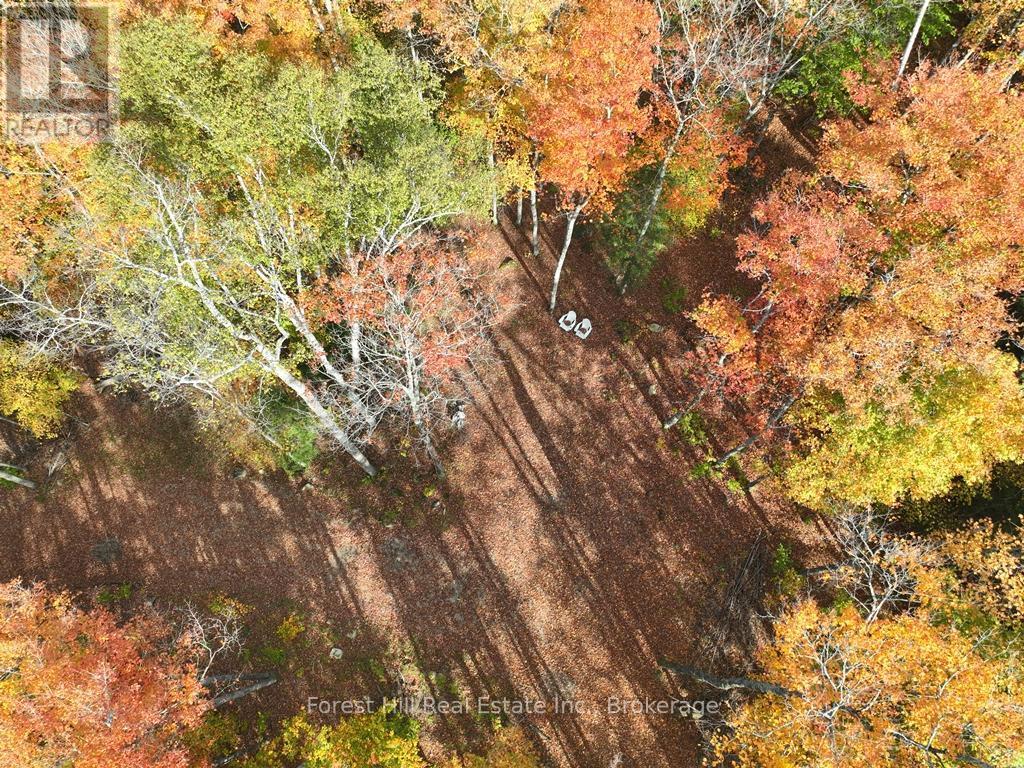 4488 Kawagama Lake Road, Algonquin Highlands (sherborne)