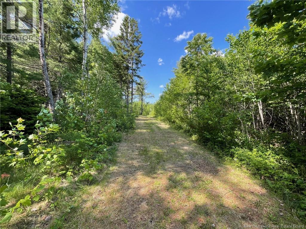 Photo of Listing #NB132973