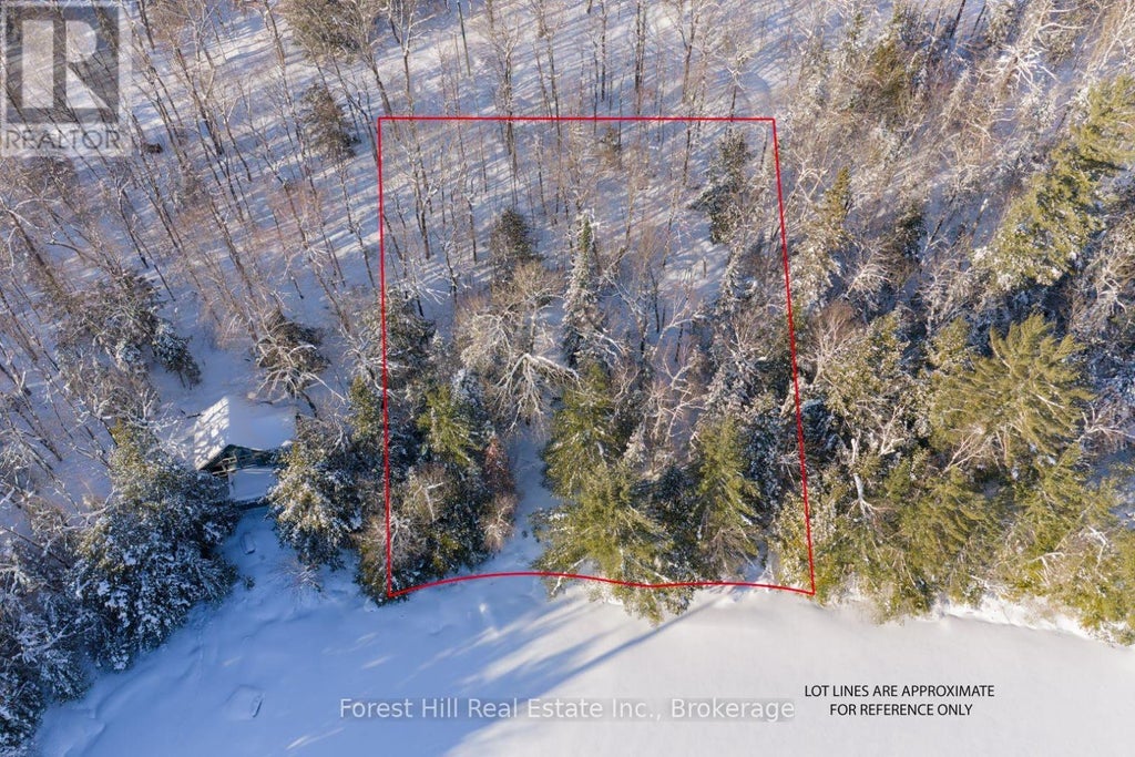 1107 Crane Lake Road, Algonquin Highlands (sherborne)