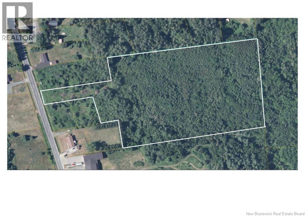 Photo of Listing #NB133209