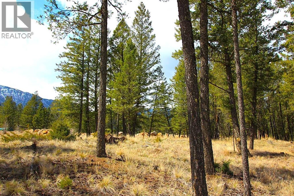 2476 Castlestone Drive, Invermere