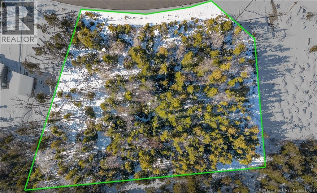 Photo of Listing #NB133769