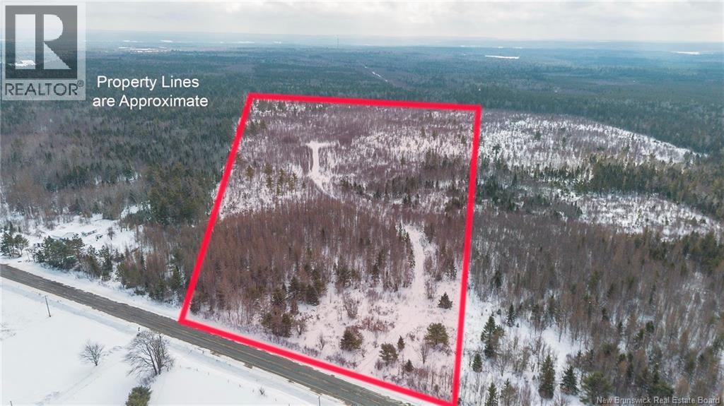 Photo of Listing #NB134242