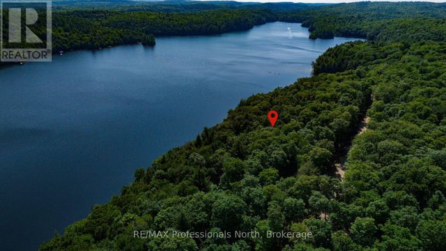 1484-3 West Oxbow Lake Road, Lake Of Bays (finlayson)