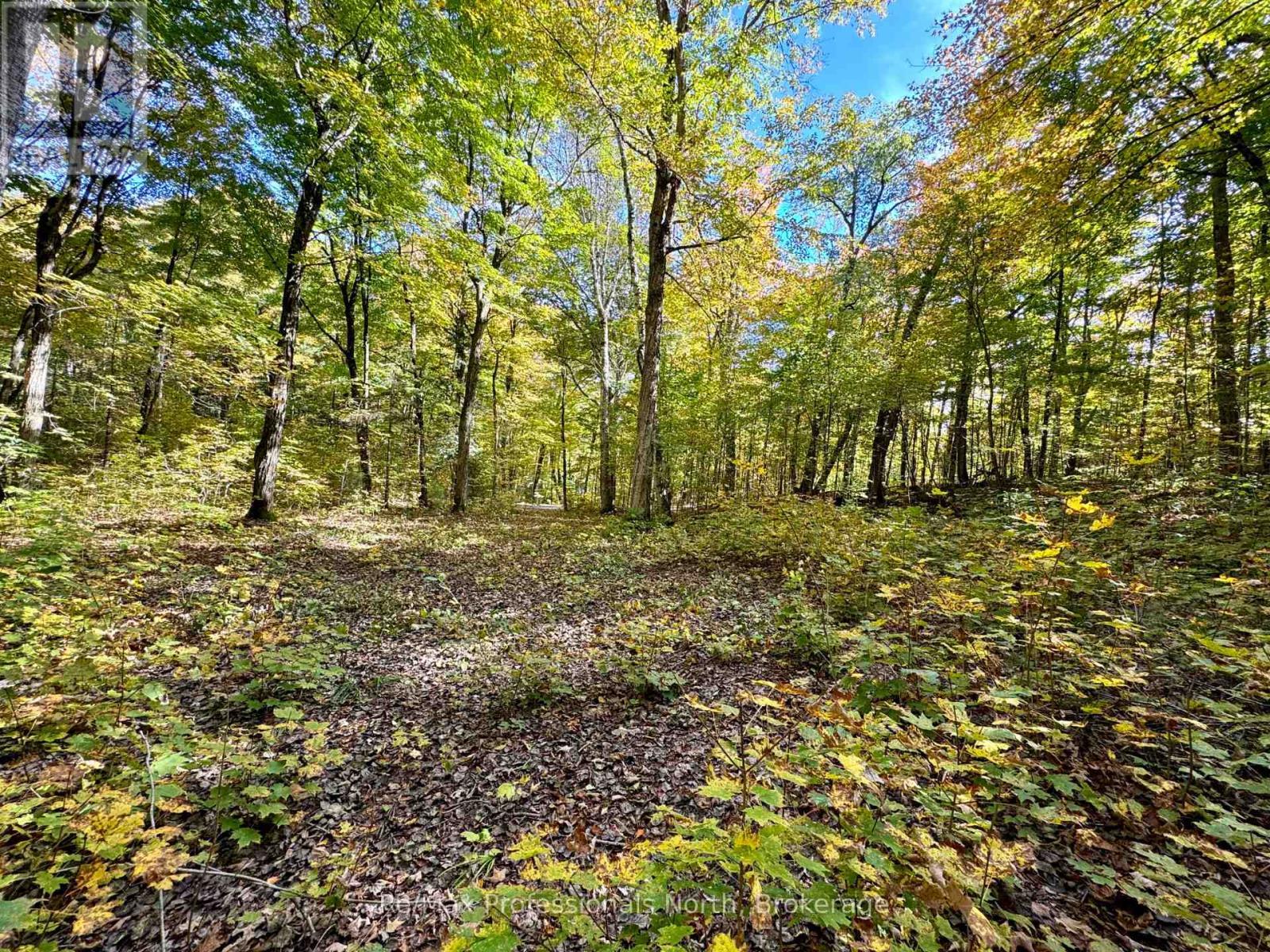 234 Longs Lake Road, Huntsville (stephenson) Real Estate Listing: MLS ...