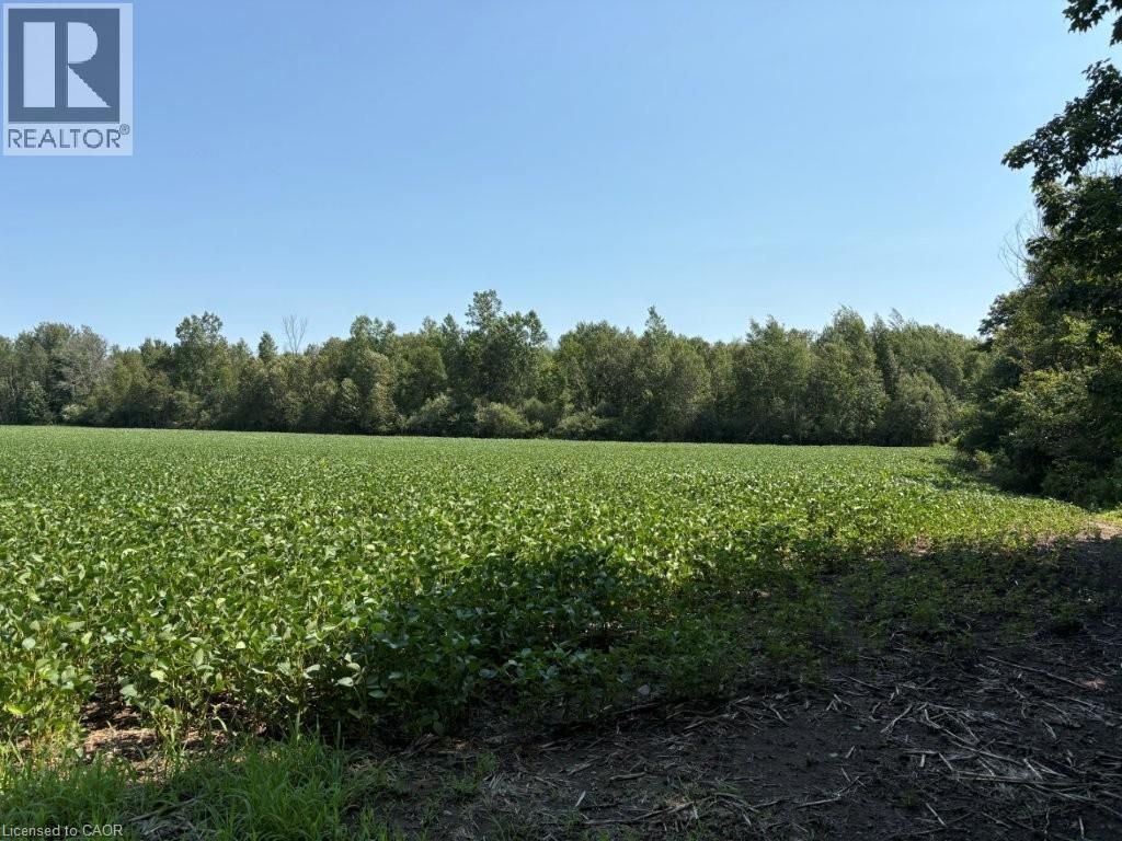 1194 Concession 14 W, Teeswater