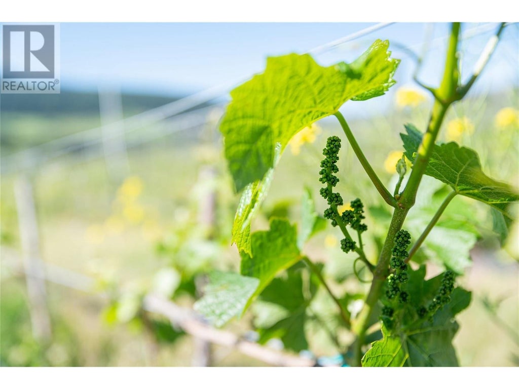 10450 Matner Lane, Coldstream