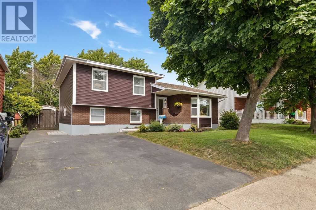 36 Newman Street, St. John's