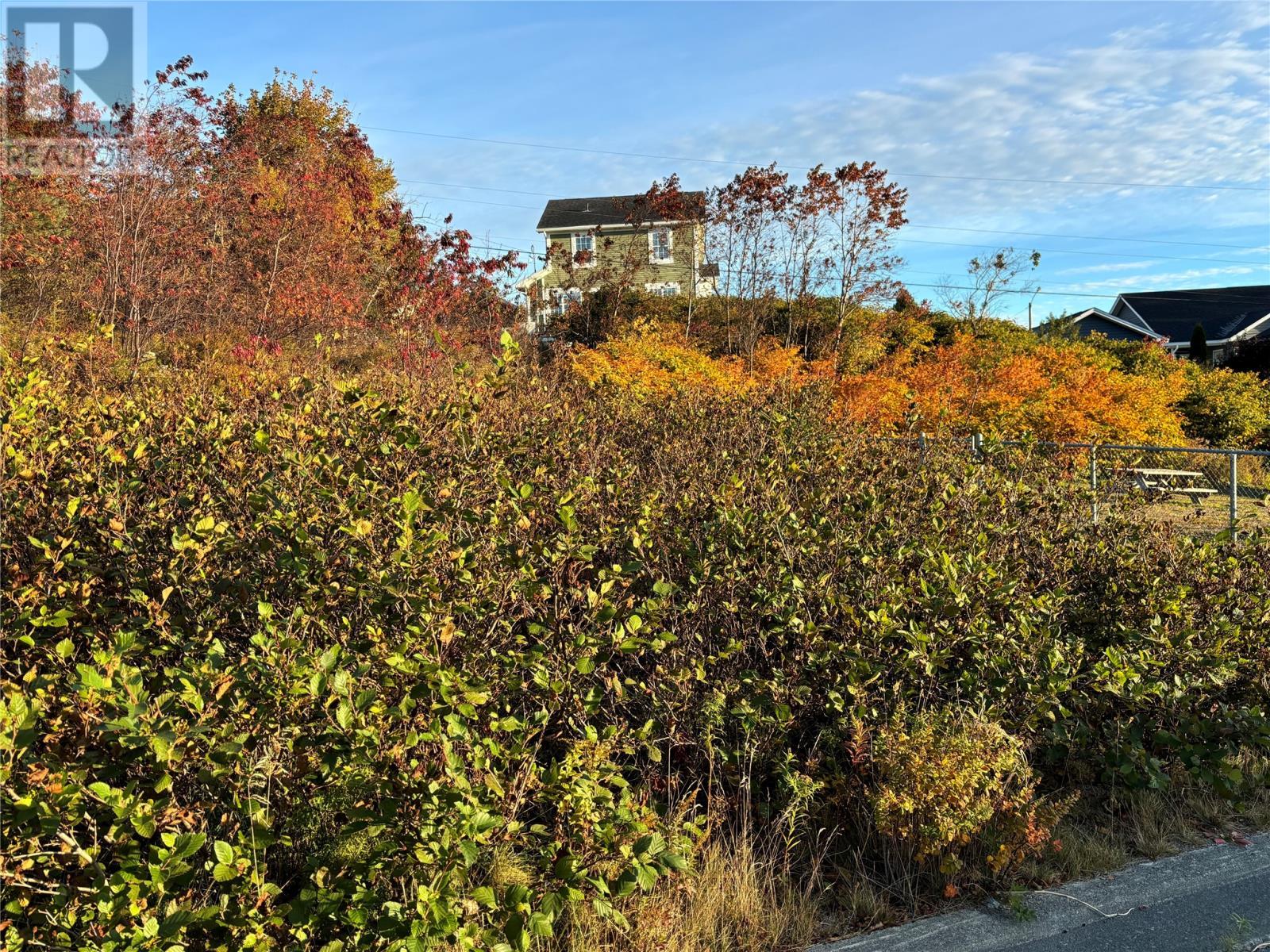 61 Badcock Boulevard, Bay Roberts, Property Listing MLS® 1278990