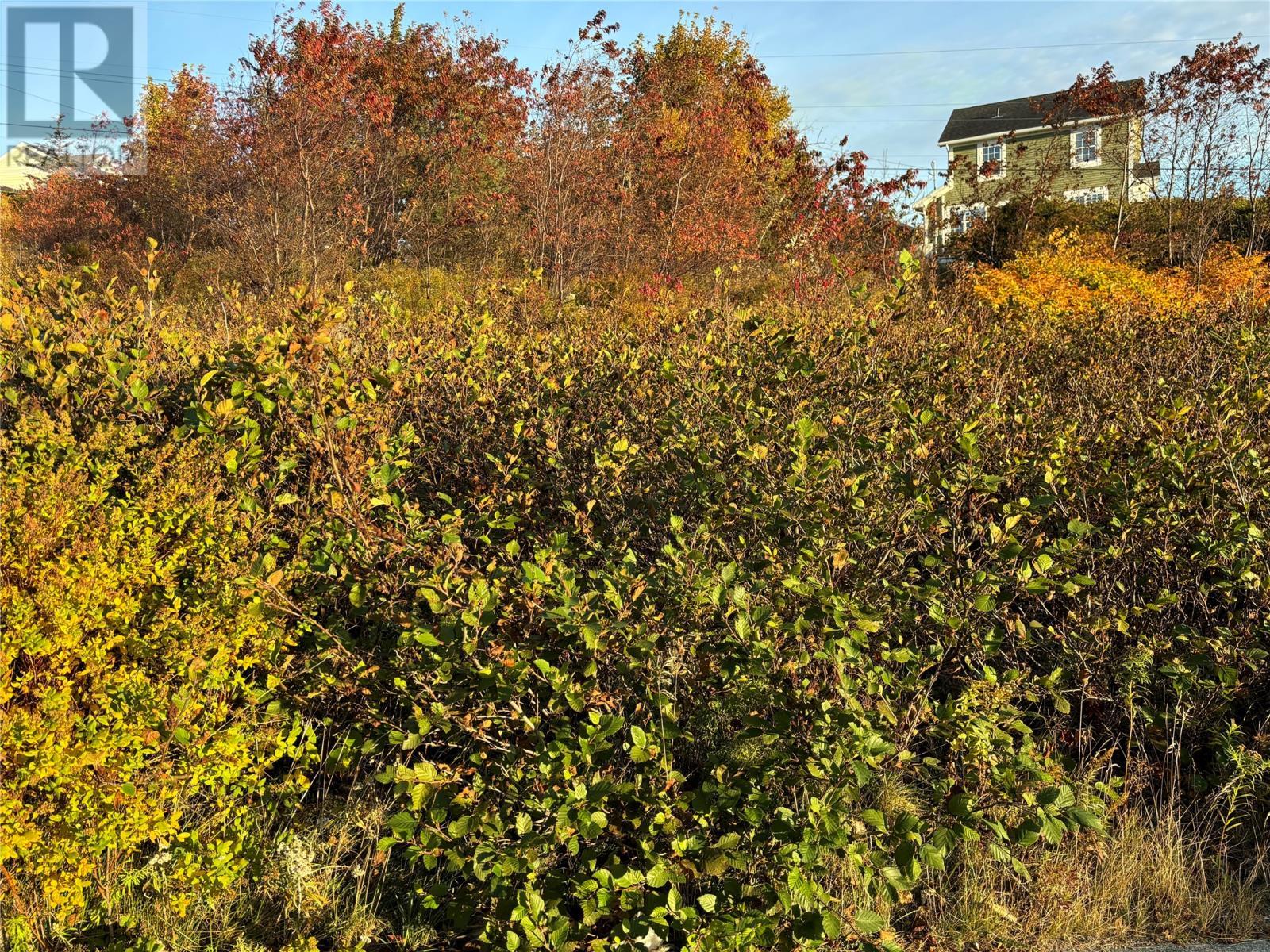 61 Badcock Boulevard, Bay Roberts, Property Listing MLS® 1278990